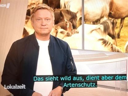 Wie der WDR die Knstliche Intelligenz fr Untertitel nutzt